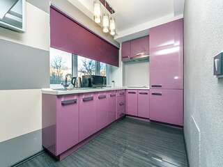 Апартаменты Hotrent City Киев Апартаменты-студио (с гидромассажной ванной) на ул. Мечникова, 8-4